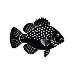 Crappie Silhouette Vector Art and Black Crappie Fish Illustration Design