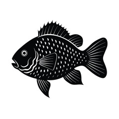 Crappie Silhouette Vector Art and Black Crappie Fish Illustration Design