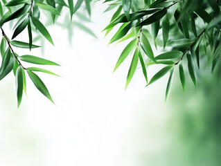 Obraz premium Green bamboo leaves gently swaying in soft natural light