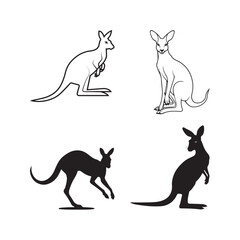 Kangaroo