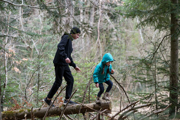 Obraz premium Adventure in the forest as children explore fallen logs surrounded by lush greenery and towering trees on a cool, misty day