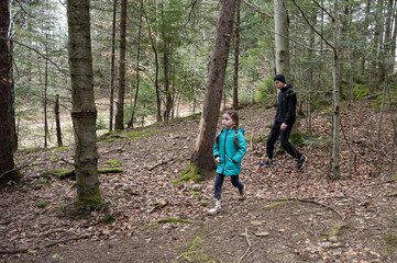 Obraz premium Enjoying a peaceful walk through a serene forest in springtime with children exploring natures beauty and wildlife trails