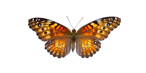 Obraz premium Butterfly with transparent background, perfect for editing projects