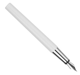 Stylish modern metallic fountain pen isolated