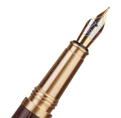 Stylish wood and gold fountain pen