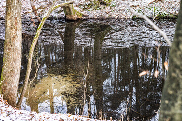 leśny strumyk w zimowej scenerii © Artur