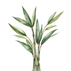 Obraz premium Bamboo Stalks Thrive