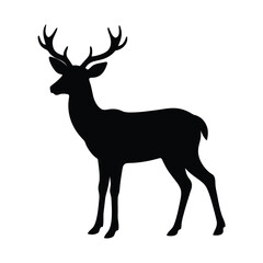 deer vector illustration