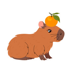 Funny capybara with ripe tangerine on head. Kawaii herbivorous rodent. Hand drawn illustration on a white background.