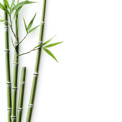 flowers and leaves in pictures illustrator2D