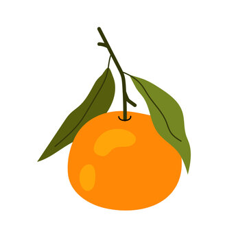 orange tangerine fruit with green leaves clip art preview