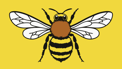 vector illustration of a bee