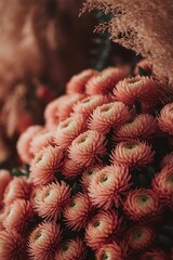 Fototapeta premium Bouquet of beautiful flowers closeup view floral decor