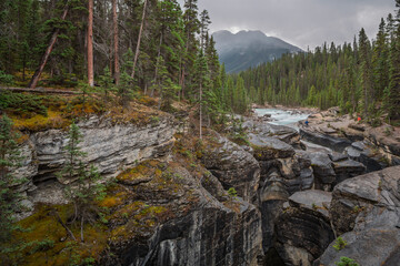 Obraz premium Mistaya Canyon in Banff National Park, Canada. A stunning river gorge with smooth rock formations, surrounded by dense evergreen forest and mountains. A popular spot for hiking and nature photography.