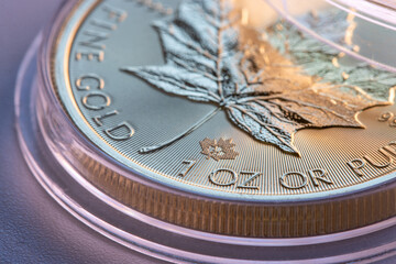 Close-up macro shot of fine gold coin, gold prices and trading concepts.