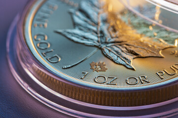 Close-up macro shot of fine gold coin, gold prices and trading concepts.
