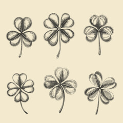 Lucky clovers hand drawn sketch, engraving art. Sketched clover leaf retro etch, antique engraving, pencil hand drawing vintage. Saint Patricks day symbol vector illustration
