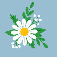 illustration of a white daisy with a yellow center, surrounded by green leaves and small baby breath flowers, set against a light blue background