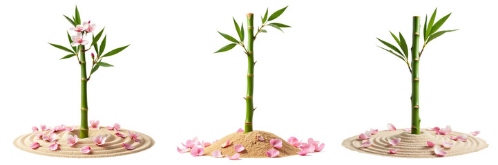 Bamboo Plants Surrounded by Pink Petals in Sand Arrangement