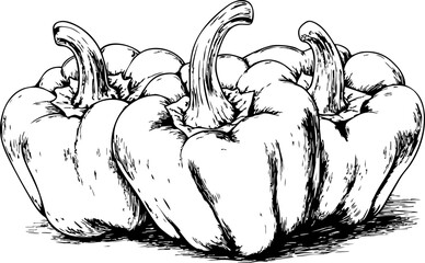 Hand-drawn vector illustration of bell peppers, highlighting their texture and shape; perfect for food-related designs and culinary themes.