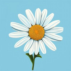 Naklejka premium Daisy spring summer flower daisy petal plant.