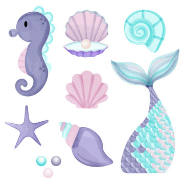 Illustration of mermaid, shells and fish. Watercolor painting
