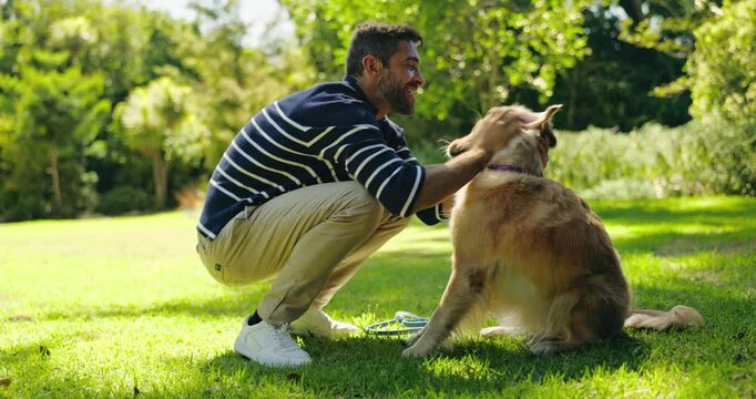 Man, dog and treat with snack in nature for walk, run or game of fetch at outdoor park. Male person, owner and pet or Labrador animal with food for reward, love or care in forest for training
