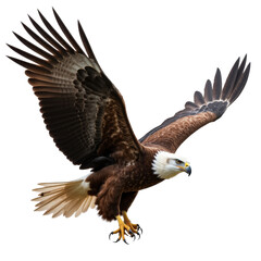 Obraz premium Bald Eagle Soars with Power and Grace