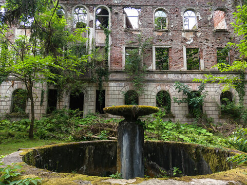 Destroyed buildings in abandoned Akarmara town, Tkvarcheli city, Abkhazia. Old ruins overgrown by green plants and trees in summer. Concept of war, architecture