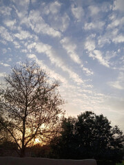  A breathtaking sunset with golden hues shining through tree branches, set against a sky with scattered clouds, creating a peaceful evening view.