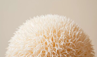 Lion’s Mane Mushroom Macro Close-Up on Black Background.