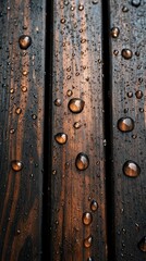 Fototapeta premium Water droplets on dark wood, outdoor, sunset, texture