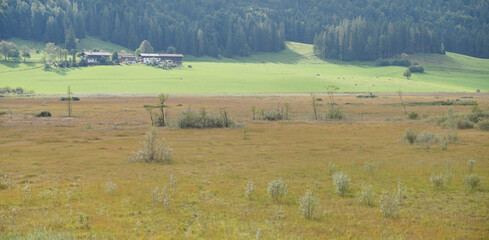Fototapeta premium Moorlandschaft Schwemm in Walchsee in Nordtirol
