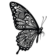 Black and White Intricate Butterfly Silhouette _ insect _ wing patterns