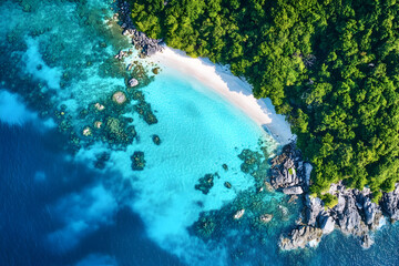 Aerial view of pristine beach, turquoise water, lush green tropical forest, and vibrant coral reef.  Perfect for travel, vacation, or summer themes.