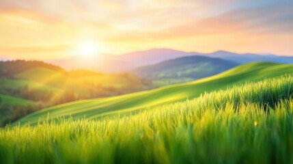 Fototapeta premium Sunrise over rolling hills: A vibrant landscape of rolling green hills bathed in the golden light of a rising sun, evoking feelings of peace and natural beauty.