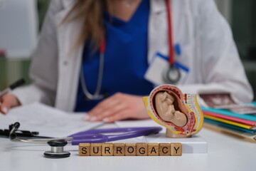 A healthcare professional discusses surrogacy, showcasing medical tools and relevant representations