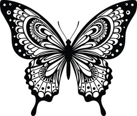 Black and White Intricate Butterfly Silhouette _ insect _ wing patterns