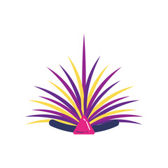 Brazilian Headwear Illustrations