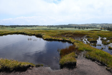 Fototapeta premium Climbing Mount Naeba, Niigata, Japan