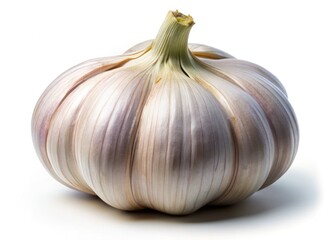 Obraz premium Photorealistic garlic bulb, showcased in stunning panoramic detail against a stark white backdrop.