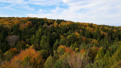 autumn landscape view from above hill forest