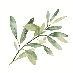 flowers and leaves in pictures illustrator2D