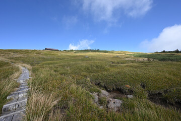 Naklejka premium Climbing Mount Naeba, Niigata, Japan