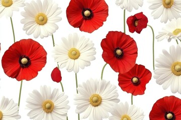 Colorful Poppies and Daisies Floral Pattern on White Background