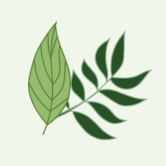 green leaf icon, vector illustration.