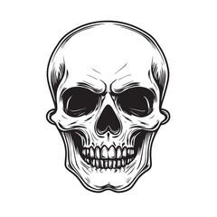 Obraz premium Artwork Hand drawn human skull head vector illustration