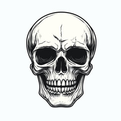 Artwork Hand drawn human skull head vector illustration