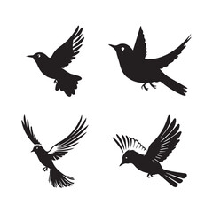 Obraz premium Four Silhouettes of Birds in Flight