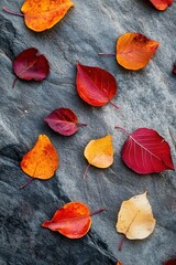 Fototapeta premium Colorful autumn leaves on stone background. Flat lay, top view.